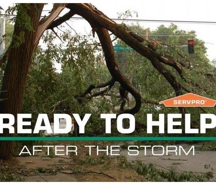 Fallen tree and Servpro logo Ready to Help After the Storm