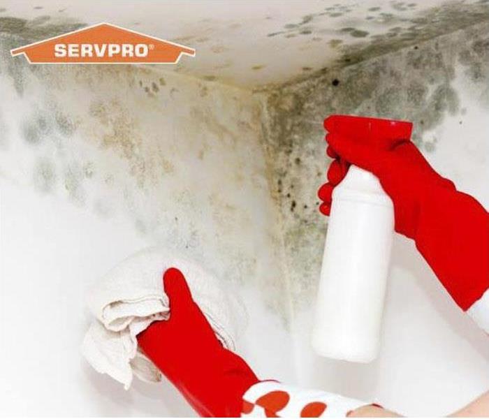 Servpro of Martin County Team Combatting Mold